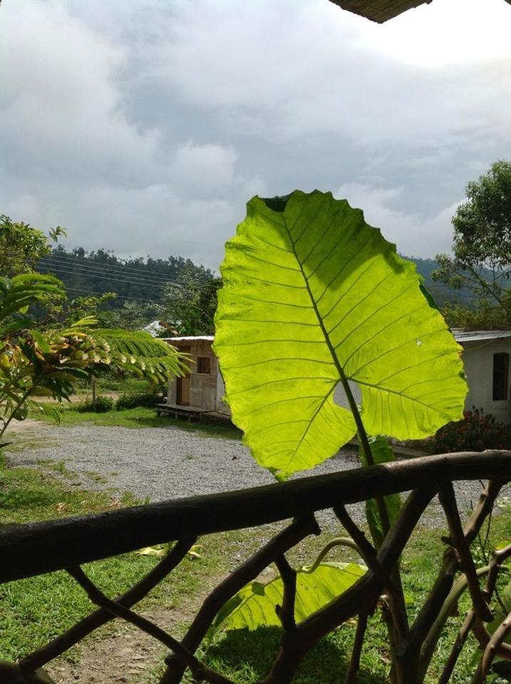 Hostería Mindo Samay Juku Exterior foto